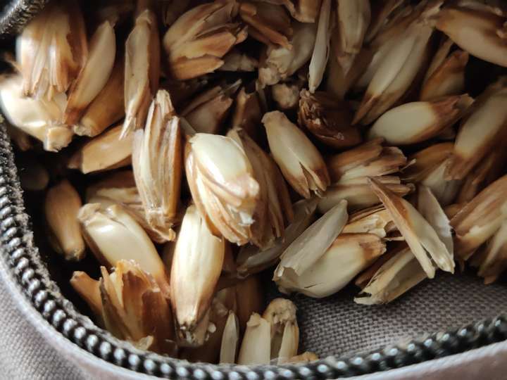 Zafu